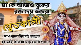 Rajbalhat Rajballavi Maa | Rajbalhat Rajballavi Mandir | Rajbalhat Mandir | শ্বেত কালী |জাগ্রত মা |