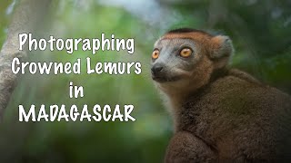 Photographing LEMURS in MADAGASCAR!!!