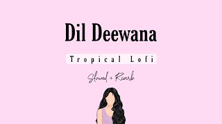 Dil Deewana - Tropical Lofi ( Slowed + Reverb )