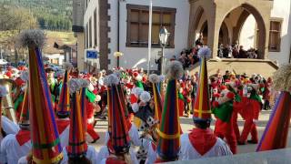 Масляна у Німеччині (Schutigumzug in Elzach 2017)