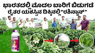 Godrej Rashinban insecticide uses in kannda || ಒಂದೇ ಹೊಡೆತದ ಪರಿಹಾರ ||  ಹೂ ಬಿಡುವ ಸಮಯ ರಶಿನ್ಬಾನ್ ಸಮಯ