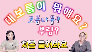 (23/2월9일) 정월대보름은 중국 명절 아닌가요?