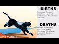 the complete warrior cats timeline 2024