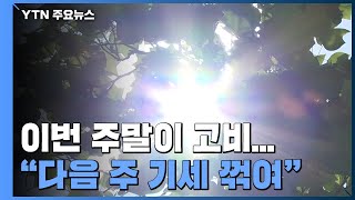 [날씨] 주말이 열대야·무더위 고비...내주 기세 꺾인다 / YTN