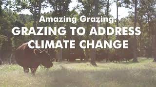 Amazing Grazing: Grazing to Address Climate Change