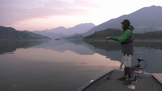 #347 悠久の流れに君臨する大魚の気配～中国長江のイエローチーク～