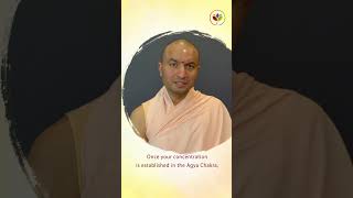 Agya Chakra- Easiest to Meditate On - [HINDI] - आज्ञा चक्र पर ध्यान करना सबसे आसान है