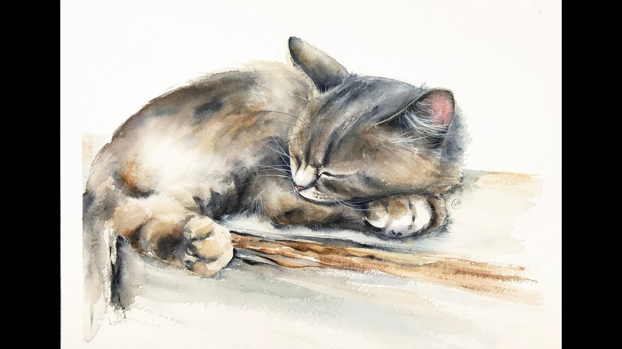 Watercolor Sleeping Cat Painting Demonstration Youtube