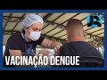 Vacinação contra a dengue em 2024 deve cobrir apenas pouco mais de 1% dos brasileiros