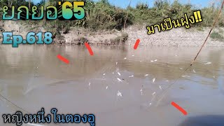 ยกยอแม่น้ำมะ'65 #147หมานๆ🐟🐟Ep.618 #fishing #ยกสะดุ้ง #ยกยอ