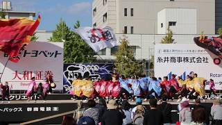 【高崎雷舞フェスティバル2018】朝霞鳴子一族め組