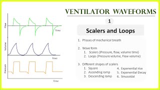 Ventilator Waveforms - Scalers and Loops made easy...