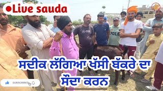 ਮਿੱਠੂ ਦੀ ਅੱਜ ਗੱਲ ਨਹੀਂ ਬਣੀ - Goat farming Live sauda - @iltilanadhuri