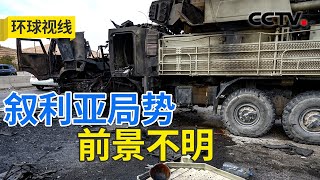 叙政治版图“碎片化”？地区力量加速博弈 20241212 | CCTV中文《环球视线》