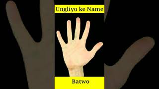 Finger Names in islam  Urdu \u0026 English || इस्लाम मैं उंगलियों के नाम #muslimstatus #finger