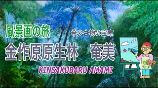 奄美・金作原 風景画の旅  travel \u0026 painting views Kinsakubaru Amami primeval forest granf