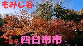 【秋】水沢もみじ谷　癒しの紅葉　名所・日本の美しい　景観私の中で１００選　＃日本の紅葉　＃日本の秋　＃紅葉の名所