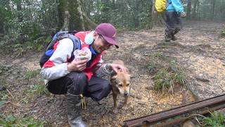 2011 北插天山  木屋遺址