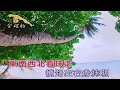 紙糊的心 朱海君 女gm調 導唱有 電腦伴唱