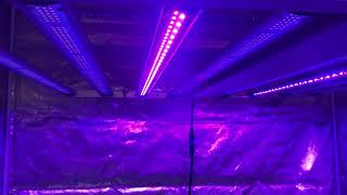 Special grow light, 3 channels, 4 spectra tunable. With UV/IR optional