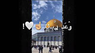 سلاما #للقدس..سلاما #للإقصى🇵🇸مع انشودة {دمت يا أقصى لنا ...} @المنشد_عماد_الحلبية  ❤️🌹