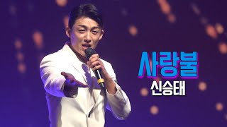 신승태 🎶 사랑불 🎶 김성기 노래교실 천사여행 콘서트