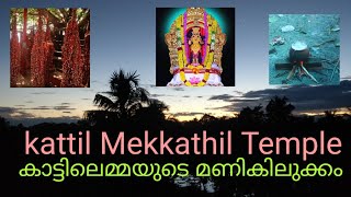 Kattil Mekkathil Devi Temple കാട്ടിലമ്മയ്ക്ക് കടലമ്മ കൂട്ട്.- Part 2