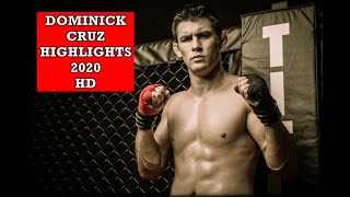 Dominick Cruz Fight Highlights 2020 HD