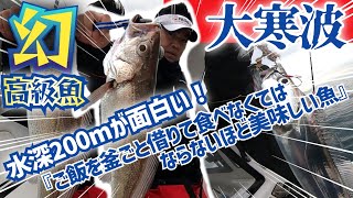 大寒波！マル秘新釣法でタチウオを狙ってたら幻の高級魚が！？『ご飯を釜ごと借りて食べなくてはならないほど美味しい魚』を釣ってみた！大分県豊後水道カマガリ