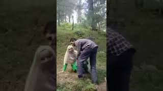 #kashmiriviralvideo #sex Kashmiri Boy And Girl Zinah Karta Tha Jungle Ma #videoleak #vipsarkar240p