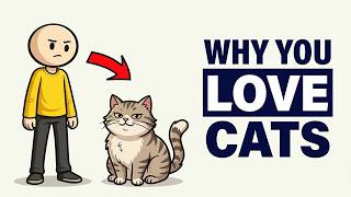 If You Love Cats, This Explains Everything (Psychology)