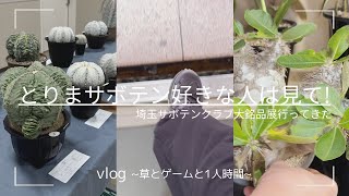 vlog | 見て見て見て、サボテン‼︎ ヤバいから