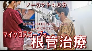 《ノーカット４０分》 マイクロスコープ根管治療 右下奥歯 親知らずが横を向いてえたため手前の歯がむし歯…