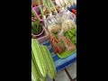 market in khun han sisaket thailand **morning walked**