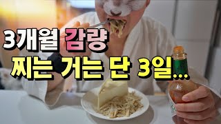 3개월 걸려서 빠진 살 딱 3일 만에 복구 했습니다..