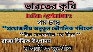 Indian Agriculture/ভারতের কৃষি। wheat farming/গম চাষ। প্রয়োজনীয় অনুকূল পরিবেশ।। মাধ্যমিক ভূগোল।