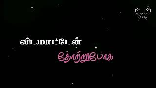 உயிர் என்று உன்னை நானே ஒரு நாளும் சொல்ல மாட்டேன் black screen video