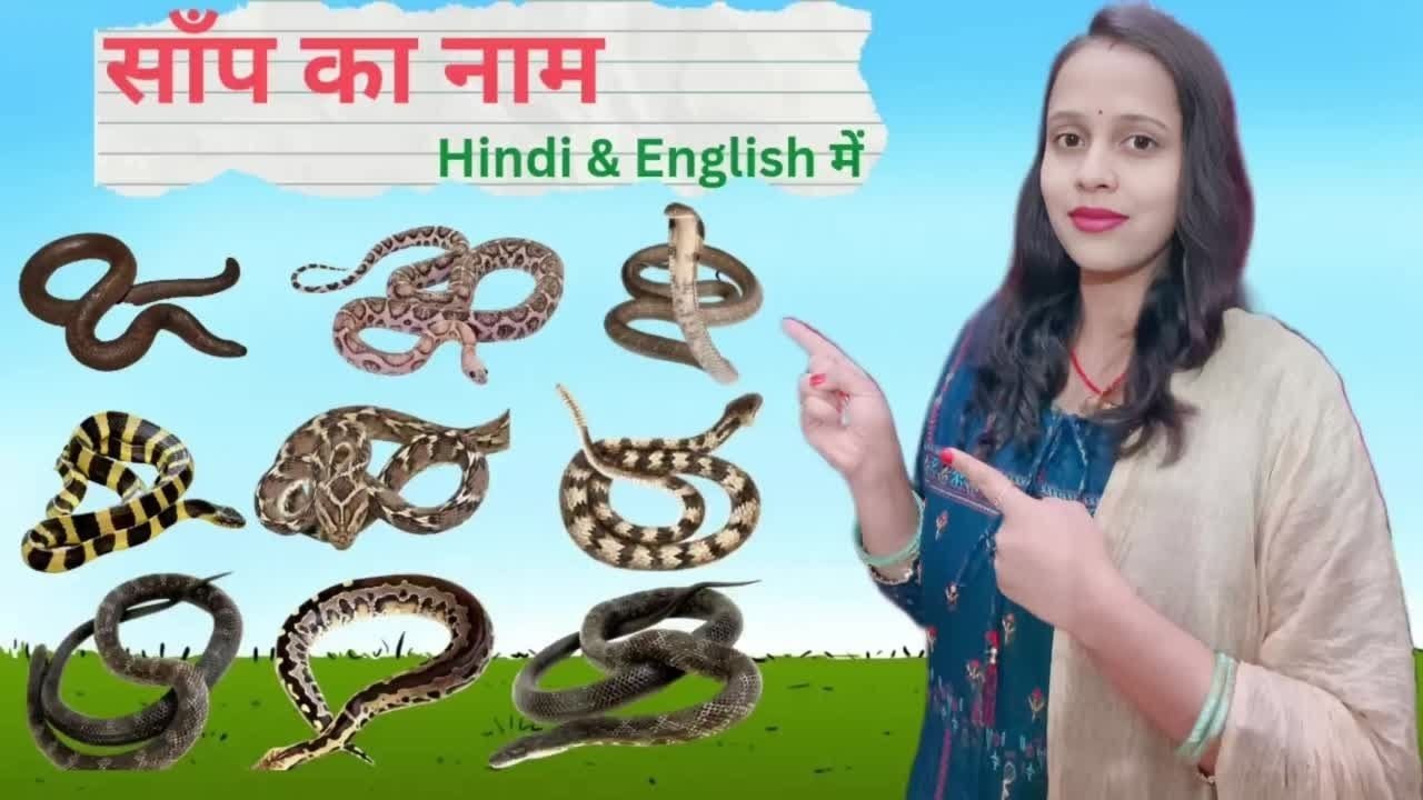 Snake Name In Hindi And English | Snakes Name List | Snake Name | साँप ...