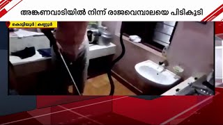 അങ്കണവാടിയുടെ അടുക്കളയിൽ രാജവെമ്പാല | King Cobra | Kannur