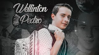 MINHA NOVA VERSÃO - WELLINTON PEDRO