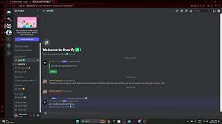 how to verify useing double counter on discord(2024)