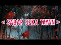 Sabap seka tayan - Moro song Lyrics || By: Lady Ang