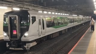 E257系5500番台宮オオОM-55編成が特急あかぎ1号鴻巣行きとして大宮駅7番線に入線到着するシーン