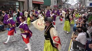 踊っこひおか 2019本家高知よさこい 全国大会 12日 mususukunjp