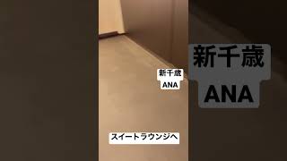 【ANAファーストクラス㊷】スイートチェックイン寄ってラウンジへ 全5エリア制覇 新千歳空港 国内線 北海道サッポロClassic生ビール飲みいってみた 0117