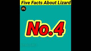 Five Amazing Facts About Lizard 🦎 #shorts #readfact #youtubeshorts