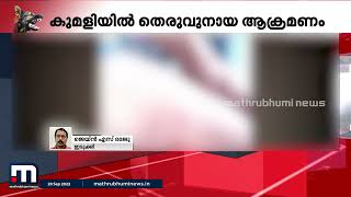 കുമളിയിൽ തെരുവുനായ ആക്രമണത്തിൽ അഞ്ചുപേർക്ക് പരിക്ക് | Mathrubhumi News