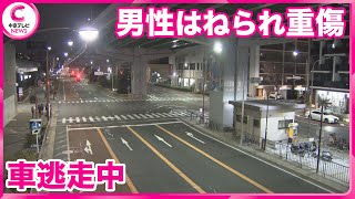 【ひき逃げ】  男性はねられ車逃走中　名古屋・瑞穂区