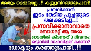 ദൈവമേ..!! പ്രസവിക്കാനാവാതെ ബോധമറ്റ്‌ ആ അമ്മ ഓടയിൽ കിടന്നത് 3 ദിവസം, ഒടുവിൽ സംഭവിച്ചത് കണ്ടോ?