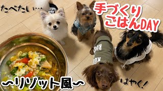 【圧が凄すぎ!?】犬用手作りご飯を作った結果、大変なことに・・・【カニンヘンダックス/ポメチワ】